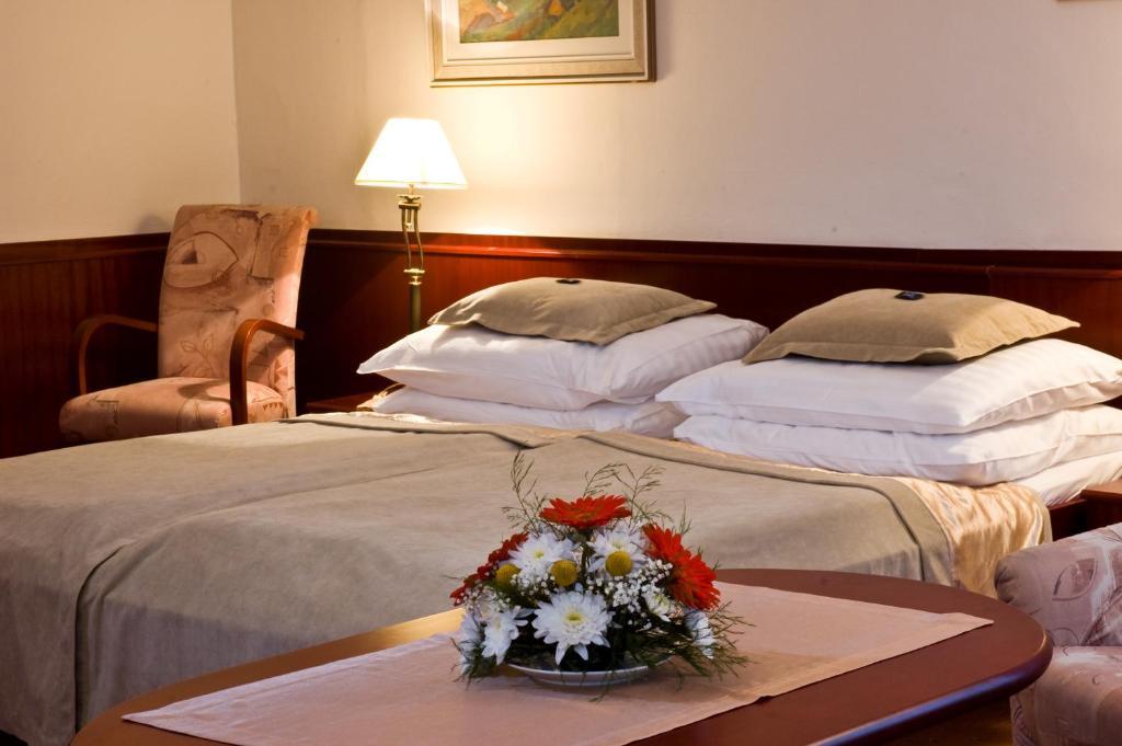 Monti Spa Frantiskovy Lazne Ruang foto